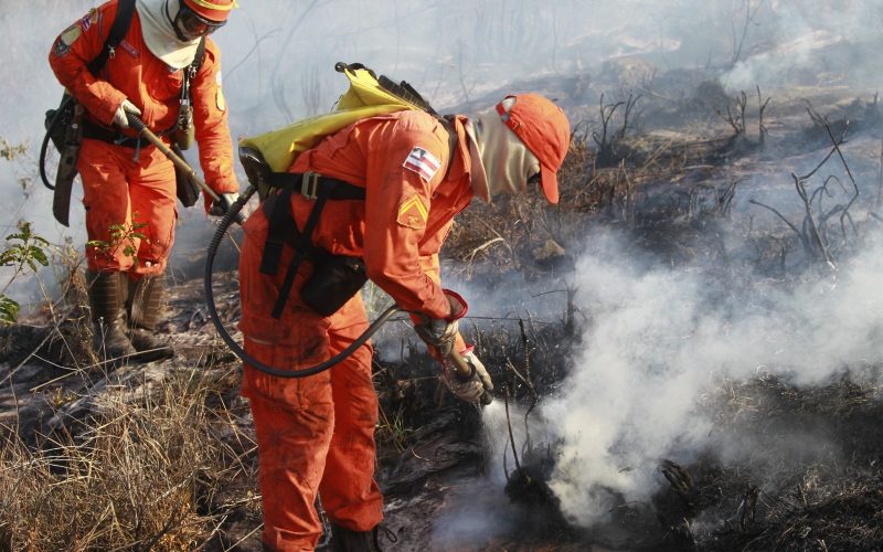 Bombeiros completam 100 dias de operação contra incêndios florestais com redução de 29% nos focos de calor